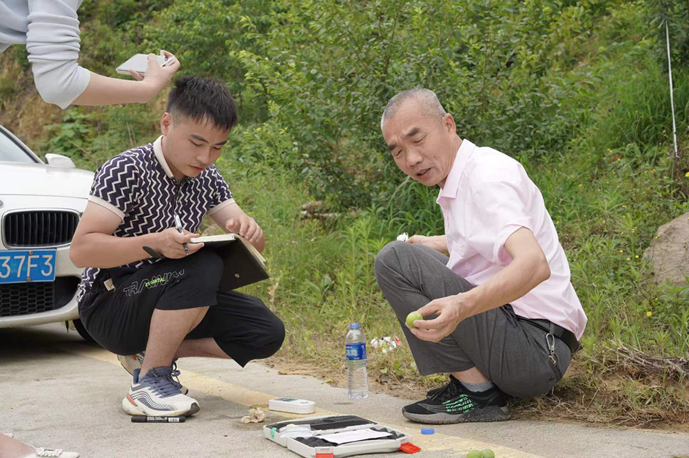 赤水鎮斜口村鳳凰李